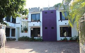 Hotel Palmarito
